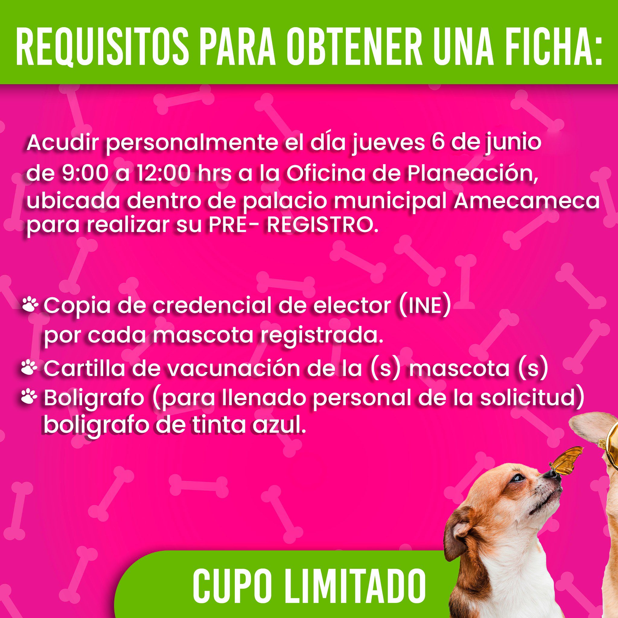 1717482914 671 ¡Se un dueno responsable El gobierno de Amecameca te invita