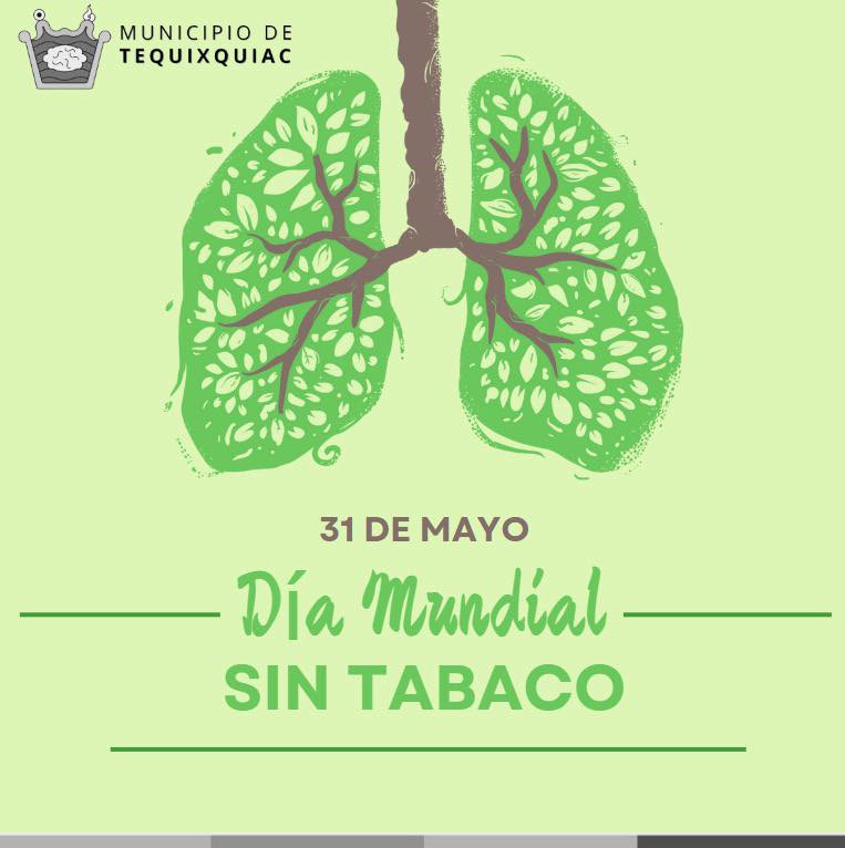 31 de mayo Dia Mundial sin Tabaco