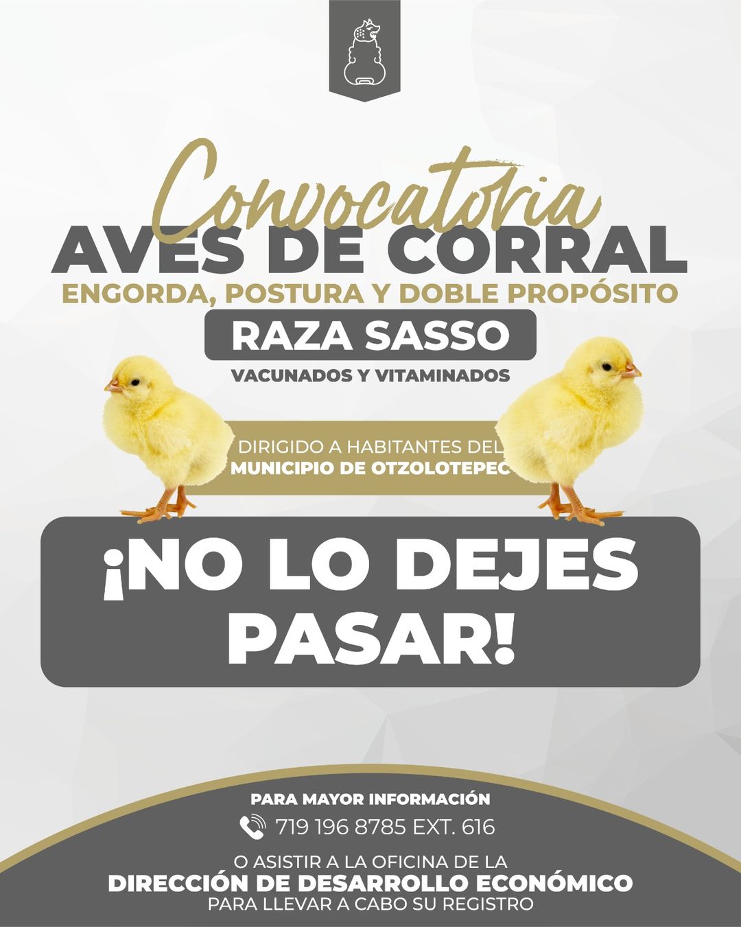 DesarrolloEconomico FomentoAgropecuario Aves