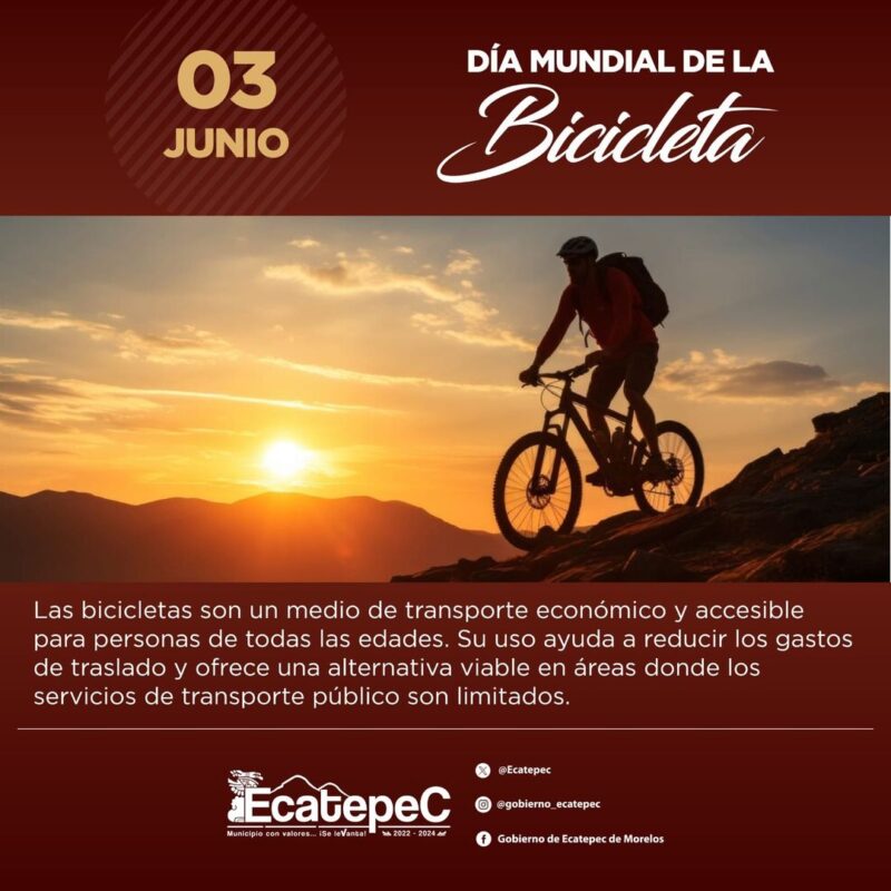 ¡Feliz Día Mundial de la Bicicleta! Hoy celebramos al transporte más ecológico
