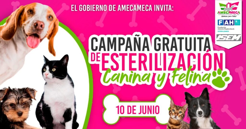 ¡Sé un dueño responsable! El gobierno de #Amecameca te invita a la “Jornada d