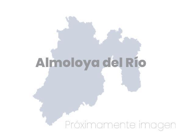 Almoloya del Río