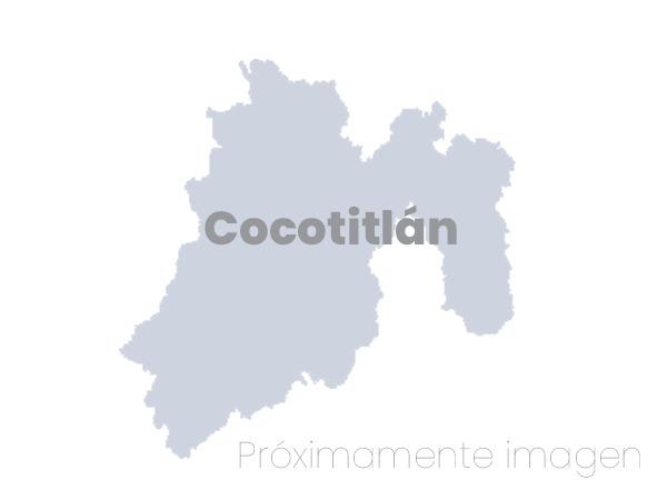 Cocotitlán