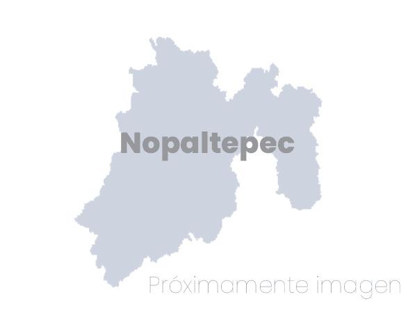 Nopaltepec