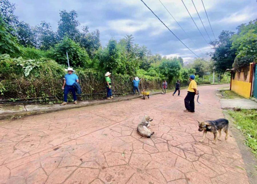 1663004559 780 Se realizo con exito los DomingosDeFaena en la comunidad de