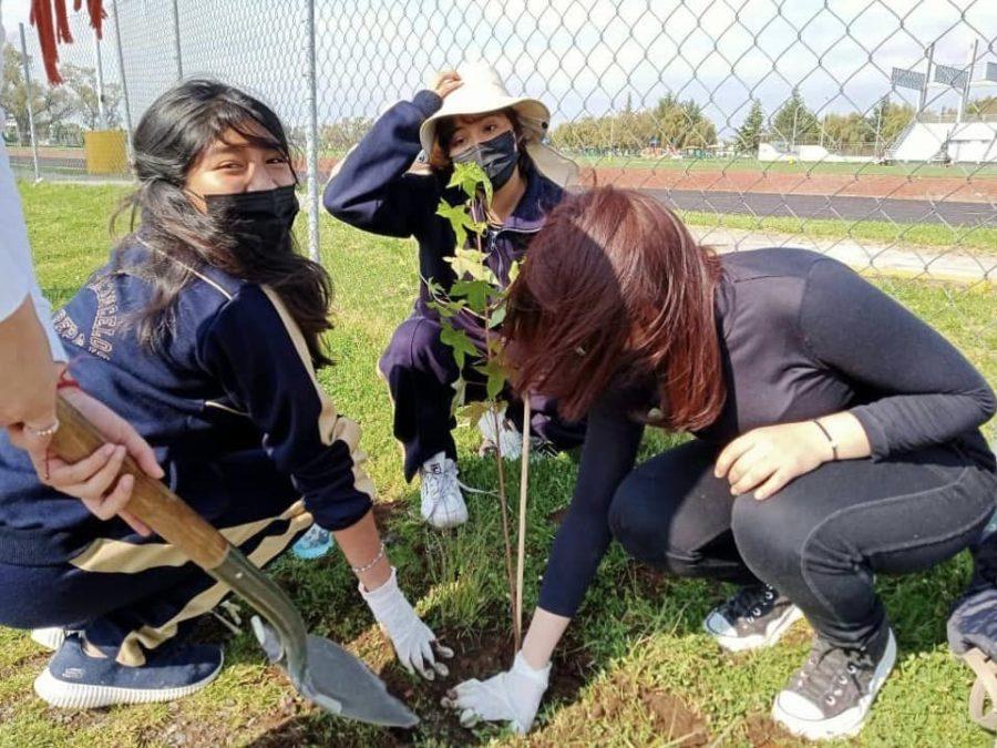 1663007292 451 Enterate Durante la JornadaDeReforestacion tu Gobierno Municipal a traves