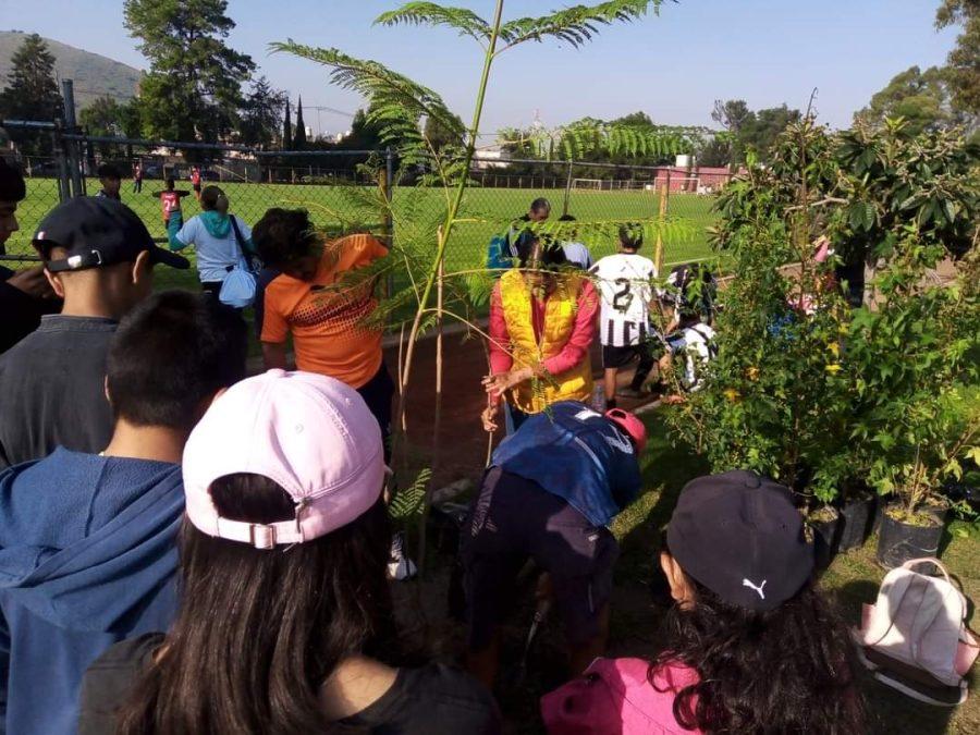 1663013071 320 ¡Logramos con exito la reforestacion simultanea