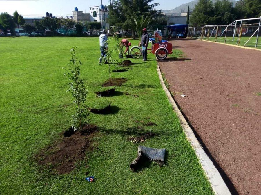 1663013071 382 ¡Logramos con exito la reforestacion simultanea