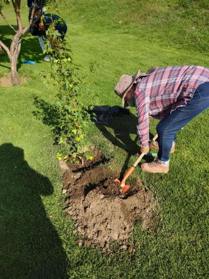 1663013071 870 ¡Logramos con exito la reforestacion simultanea