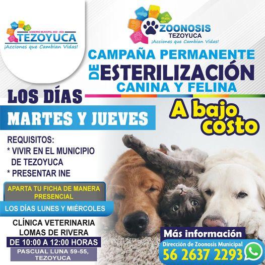 1663018621 Campana de esterilizacion permanente todos los dias martes y jueves