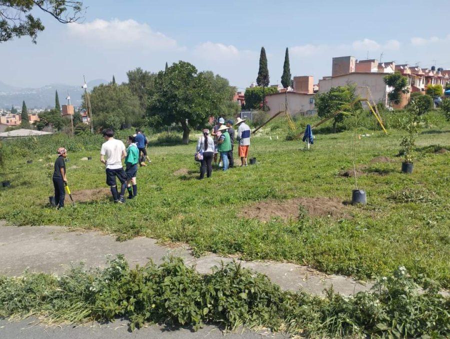 ¡Logramos con exito la reforestacion simultanea