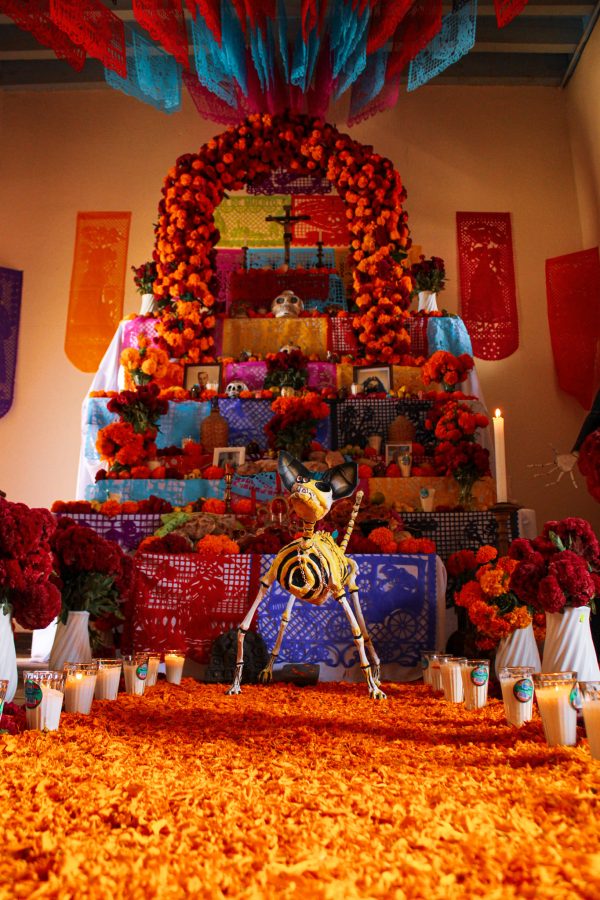 1667338150 Les compartimos como luce la Ofrenda Monumental que instalamos en