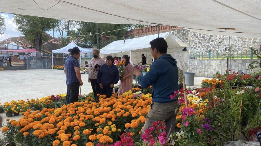 1667421736 En este dia de muertos te invitamos a apoyar la