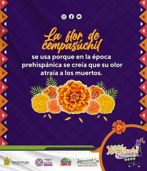 La flor de Cempasúchil simboliza el Día de Muertos gracias a su color y  aroma es - Estado de México