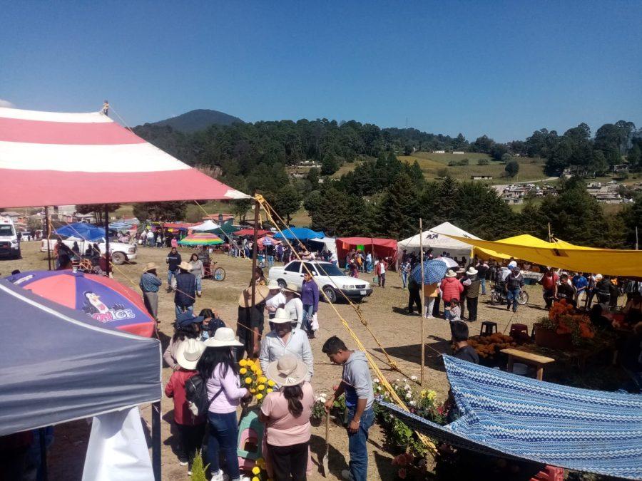 1667477515 117 Hoy fue un gran Dia de Muertos en Morelos donde