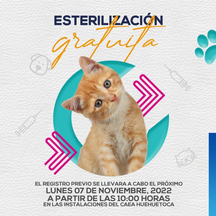 1667518628 591 Jornada de esterilizacion canina y felina