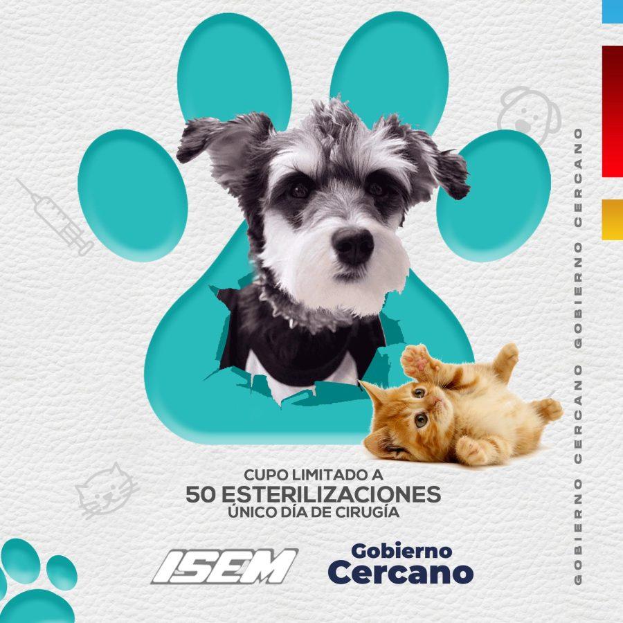 1667518628 787 Jornada de esterilizacion canina y felina