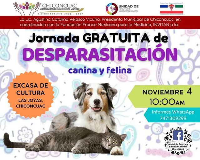 1667518812 Se llevara a cabo la Jornada de Desparasitacion canina y