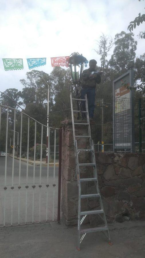 1667574431 El Ayuntamiento de Texcoco realiza mantenimiento de gatos en la