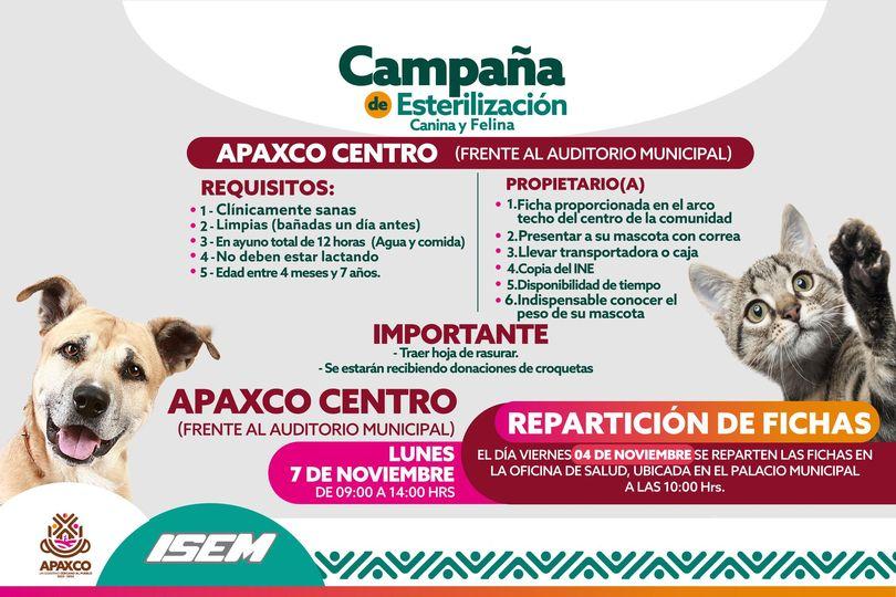 1667577359 EN APAXCO CENTRO ESTERILIZACION FELINA Y CANINA