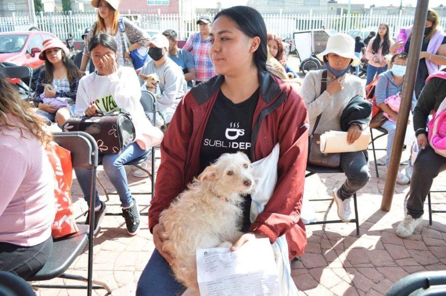 1667598745 51 EN CHIMALHUACAN ESTERILIZAN PERROS Y GATOS