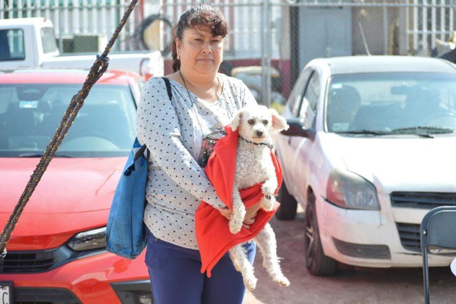 1667598745 545 EN CHIMALHUACAN ESTERILIZAN PERROS Y GATOS