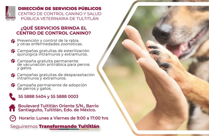 1667690404 Conoce los servicios que brinda el Centro de Control Canino