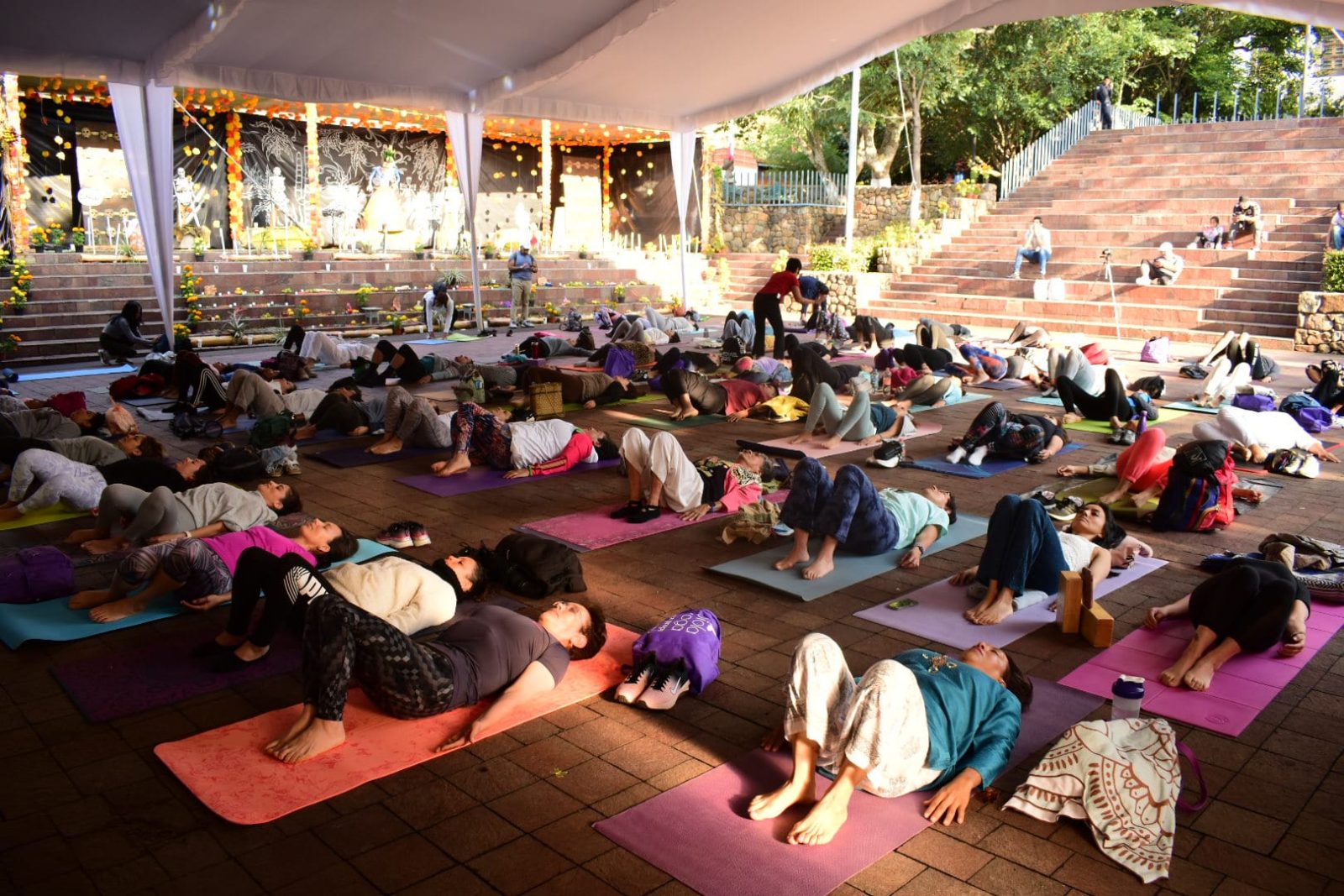 1667692101 753 Yoga para la Salud por Jnana Dakini en el 19