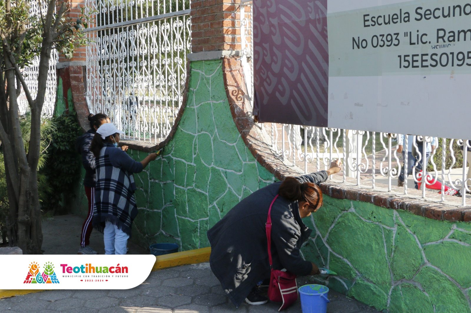 1667736726 128 Los trabajos de jardineria poda de arboles sanitizacion mantenimiento a