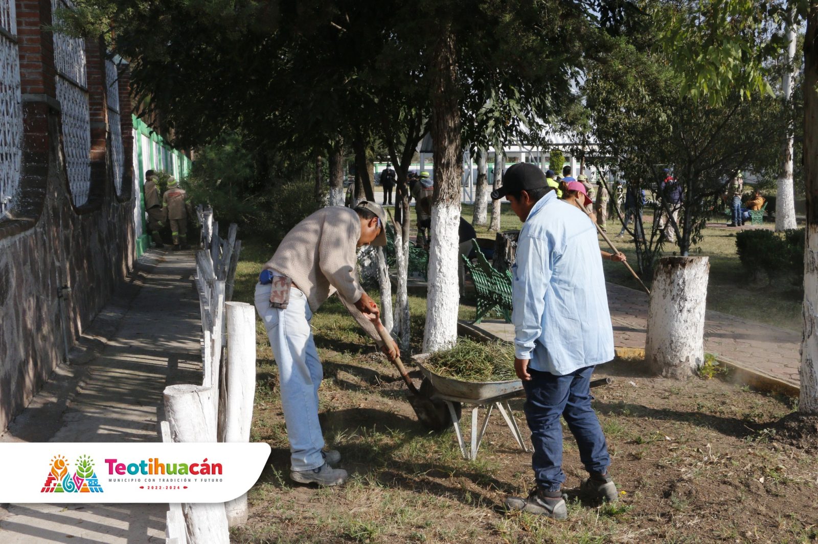 1667736726 792 Los trabajos de jardineria poda de arboles sanitizacion mantenimiento a