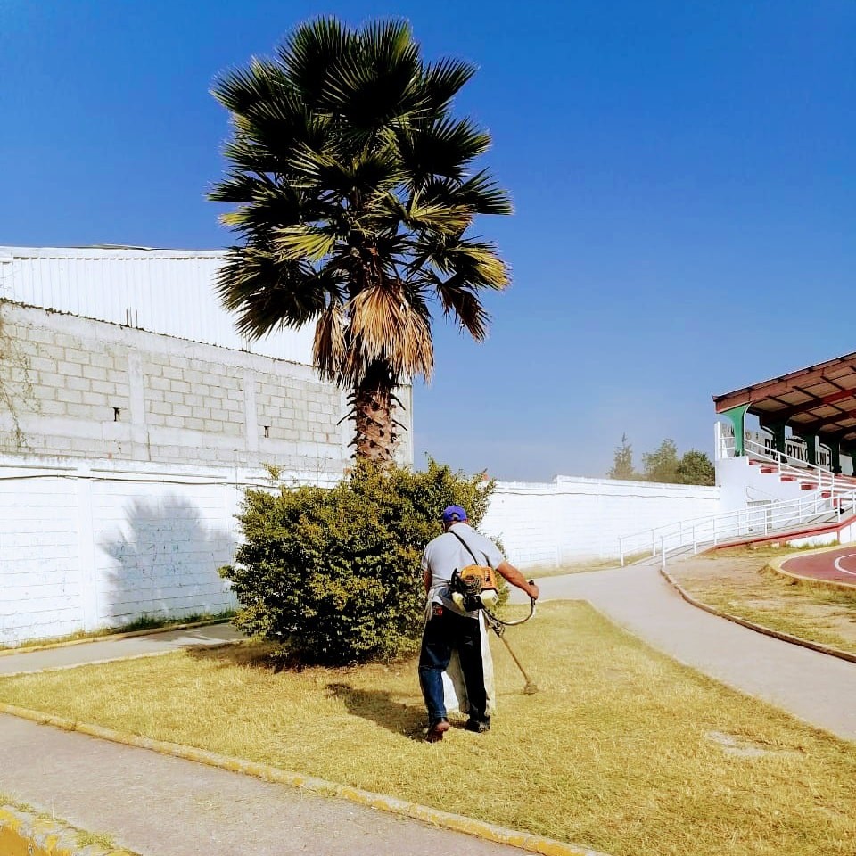 1667776596 100 Continuamos con las acciones de Mejoramiento de Areas Verdes en