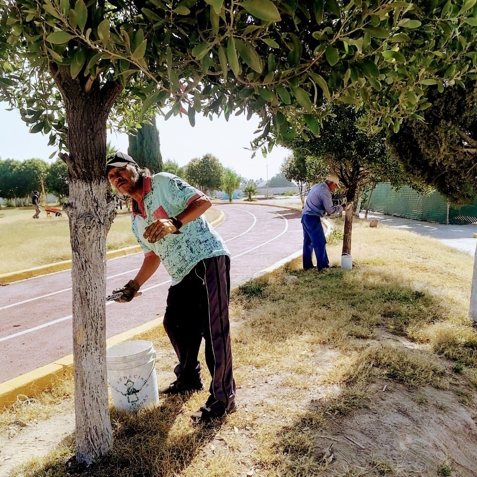 1667776596 246 Continuamos con las acciones de Mejoramiento de Areas Verdes en