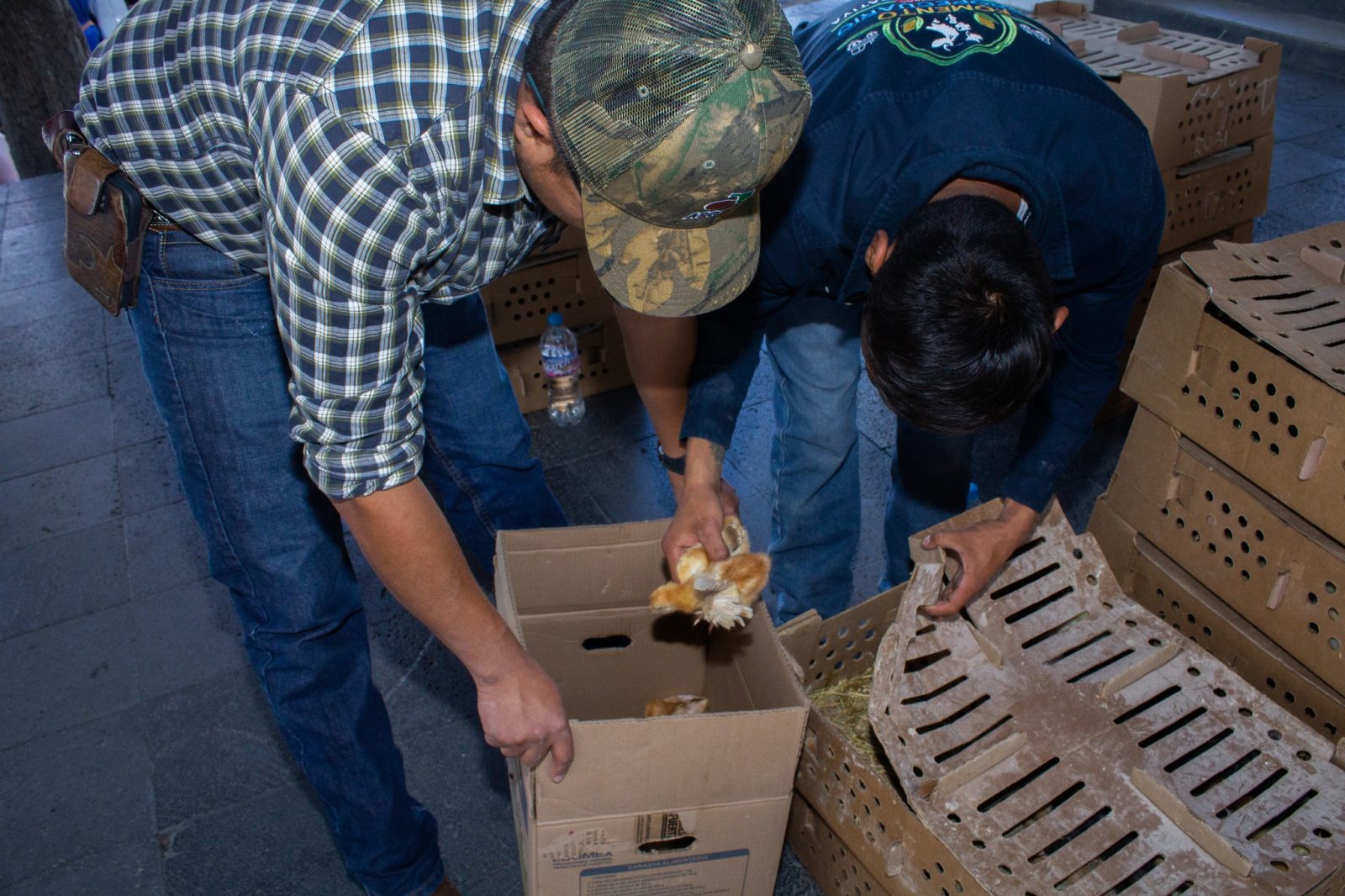 1667919191 248 Con la finalidad de contribuir a la autosuficiencia alimentaria e