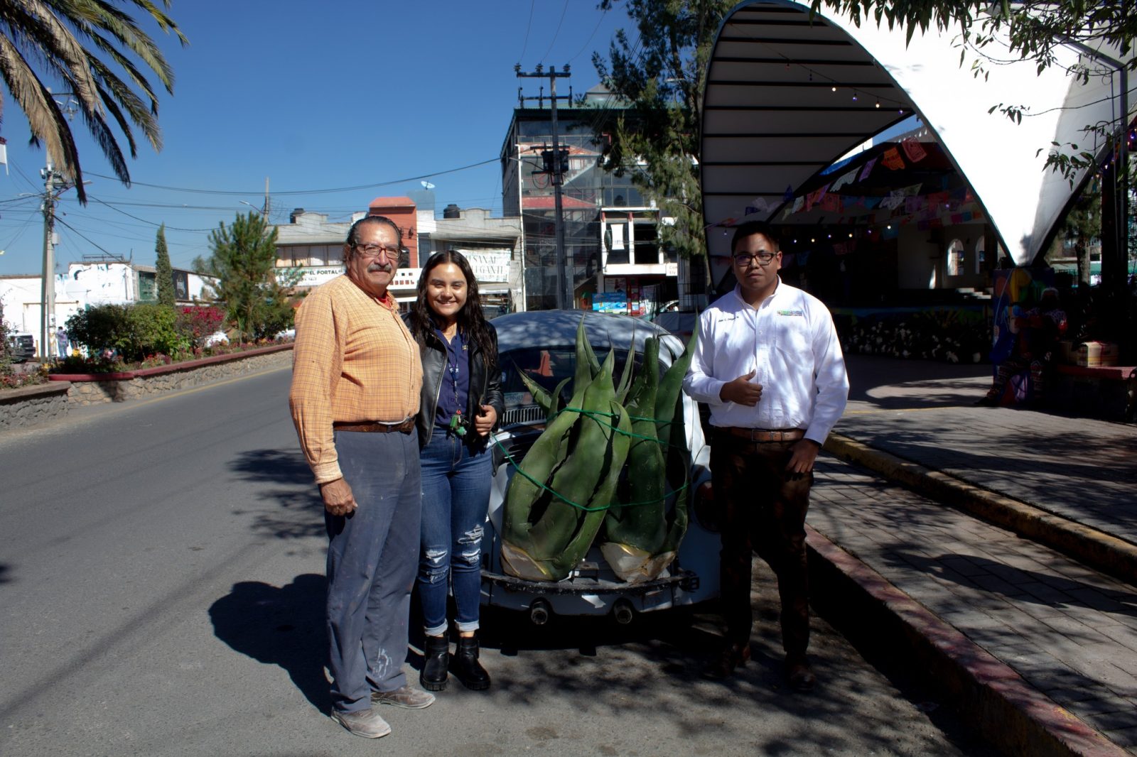 1667919191 660 Con la finalidad de contribuir a la autosuficiencia alimentaria e