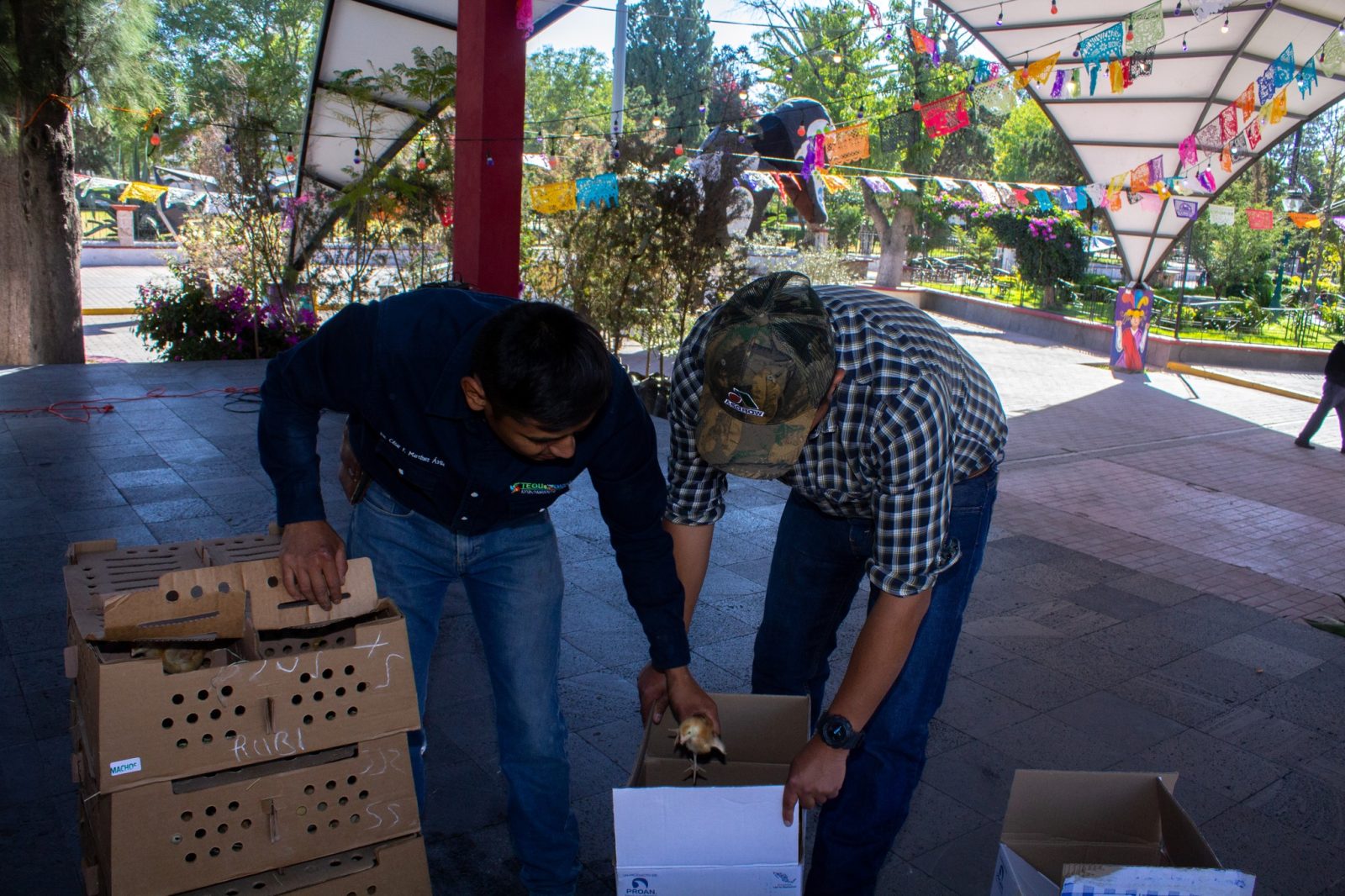 1667919192 457 Con la finalidad de contribuir a la autosuficiencia alimentaria e