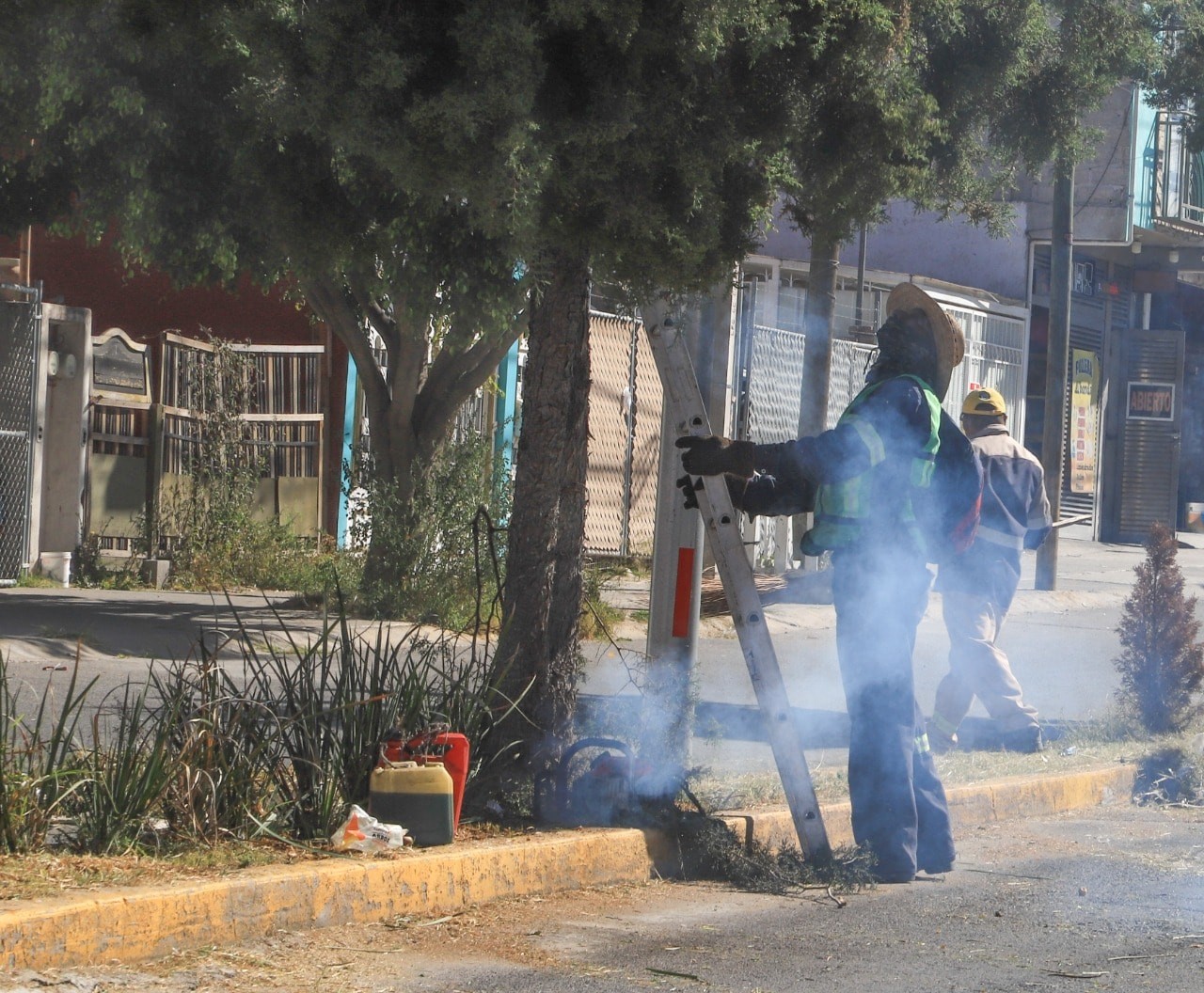 1667926396 858 Para el mejoramiento de la imagen urbana en el conjunto