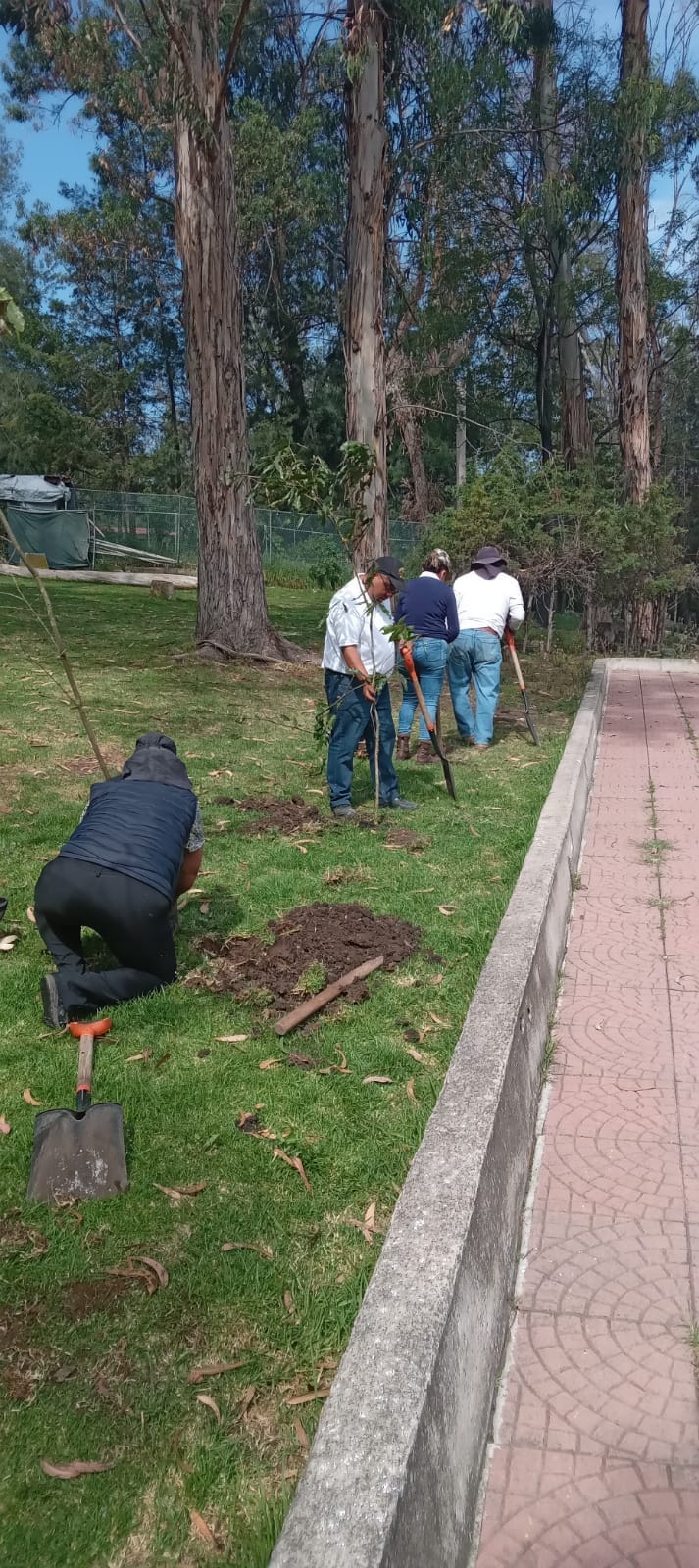 1667926927 296 Medio Ambiente de esta Coordinacion Municipal de Proteccion Civil Bomberos