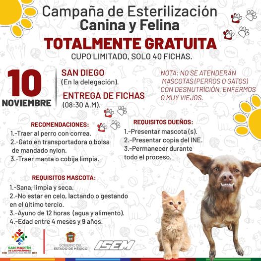 1667947406 AGENDALO La JornadadeEsterilizacion para perritos y gatitos sera este jueve