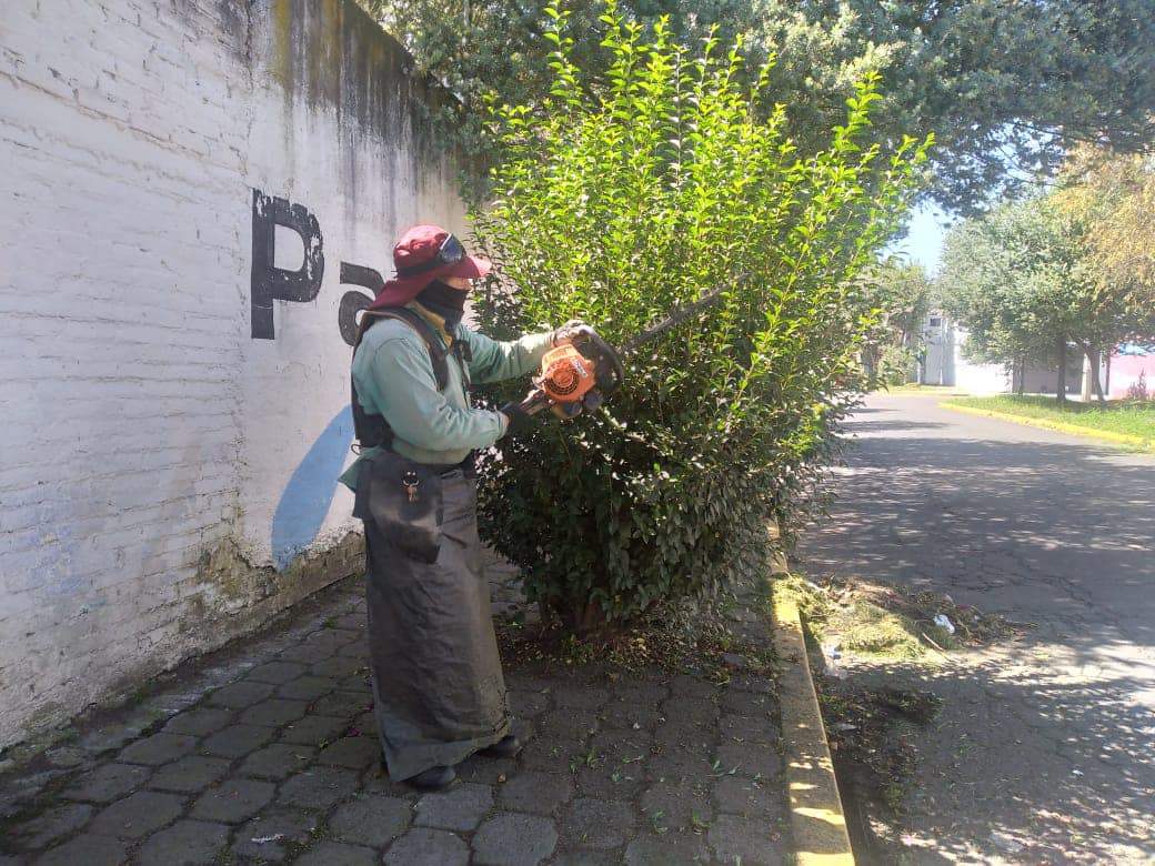 1668013683 999 El personal de la Coordinacion de Parques y Jardines de