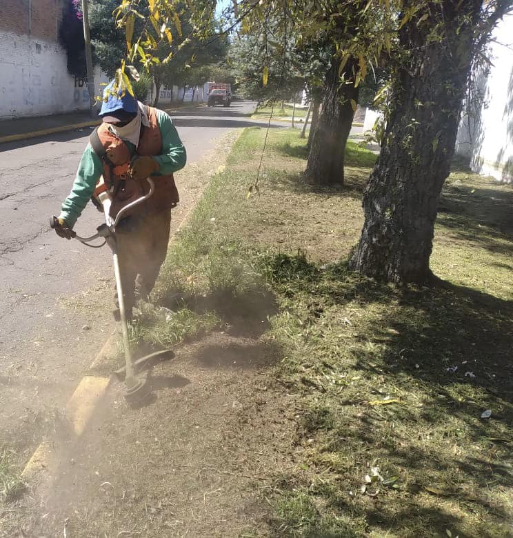 1668013684 389 El personal de la Coordinacion de Parques y Jardines de