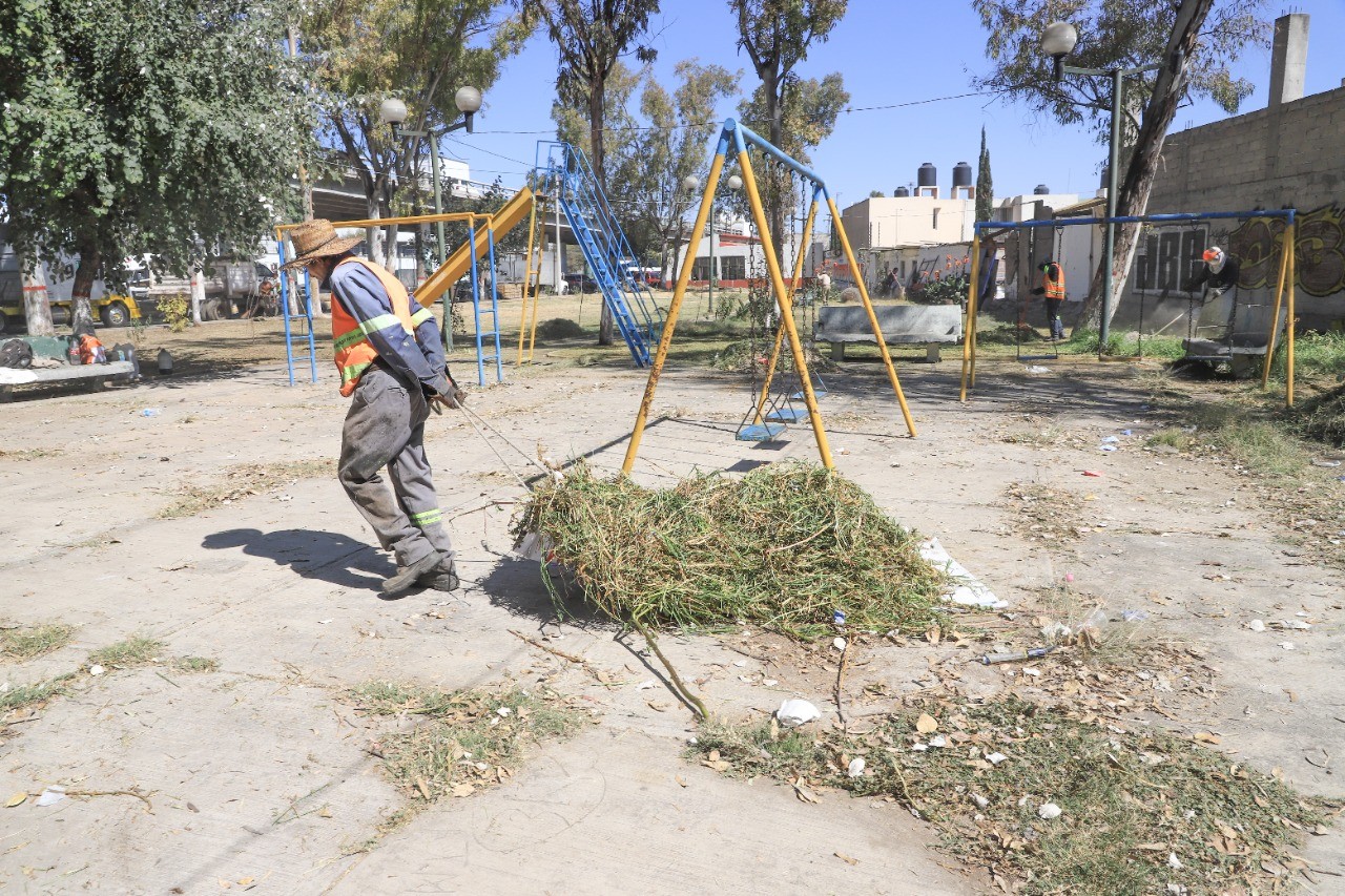 Se realizaron trabajos de poda de árboles, recolección de basura y barrido  en e - Estado de México