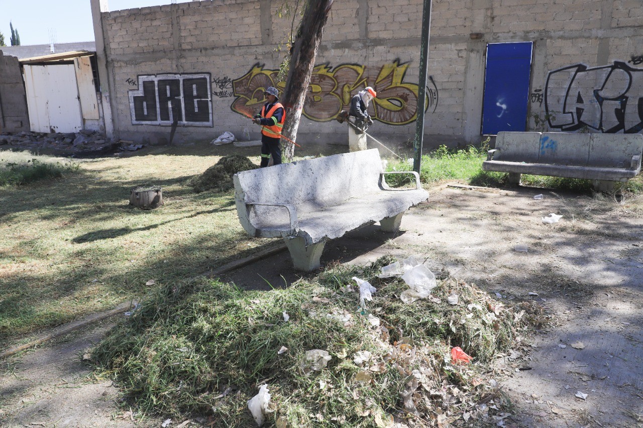 1668014789 463 Se realizaron trabajos de poda de arboles recoleccion de basura