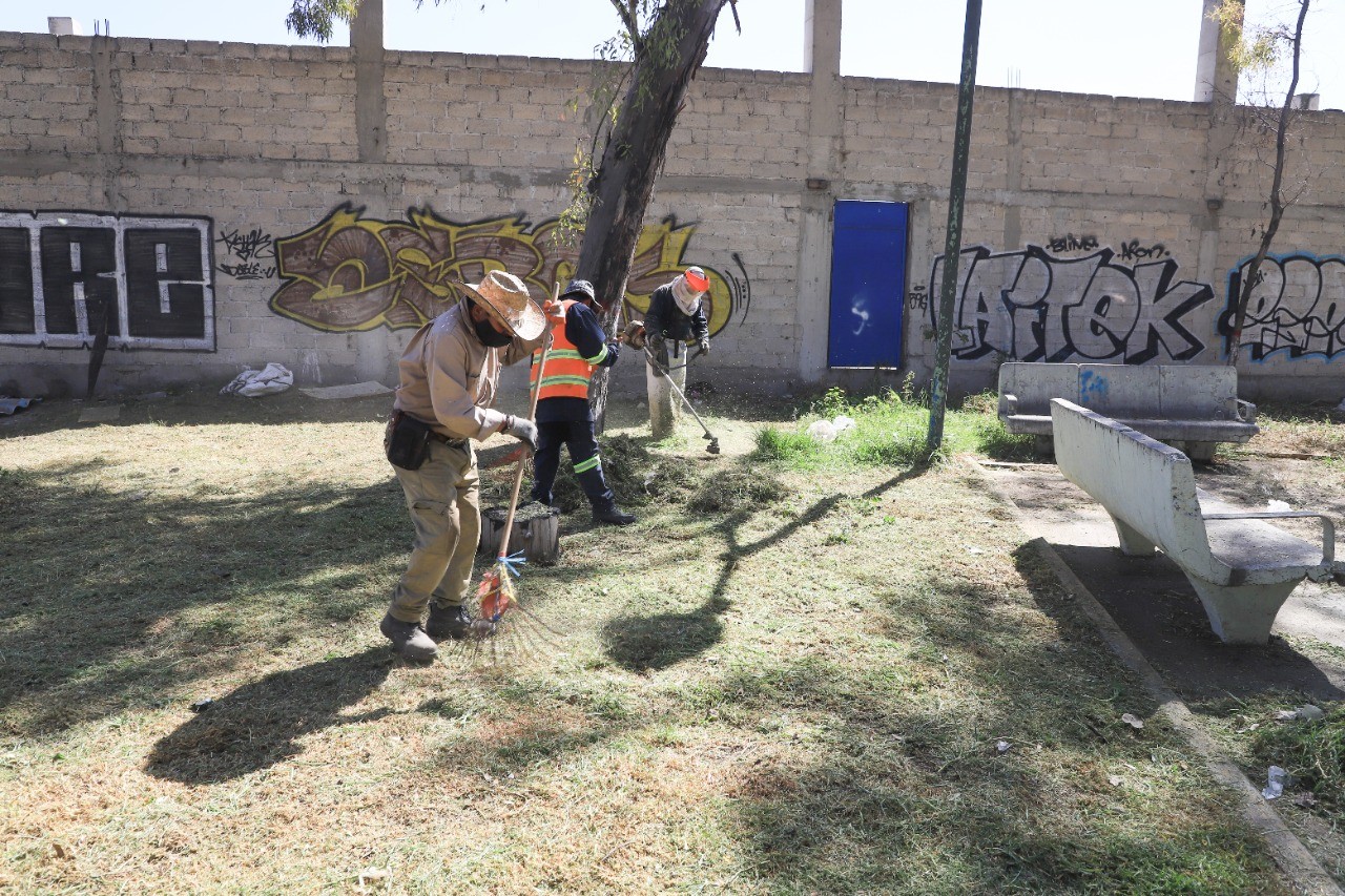 1668014789 736 Se realizaron trabajos de poda de arboles recoleccion de basura