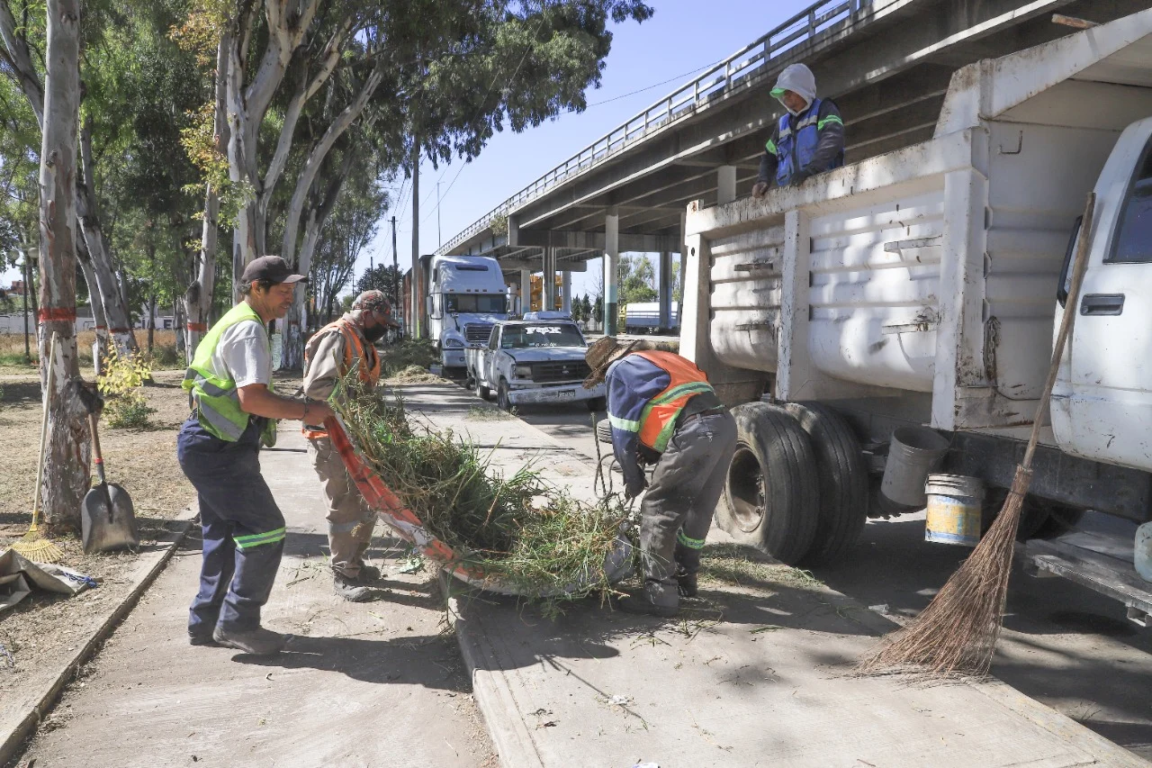 Se realizaron trabajos de poda de árboles, recolección de basura y barrido  en e - Estado de México
