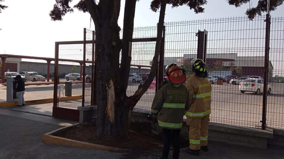 1668028452 97 La Coordinacion de Proteccion Civil y Bomberos de Metepec ha