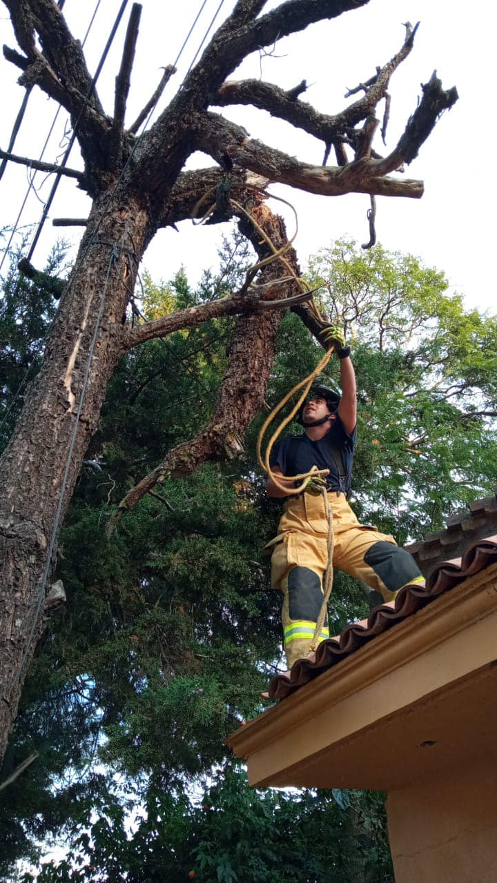 1668028463 La Coordinacion de Proteccion Civil y Bomberos de Metepec ha