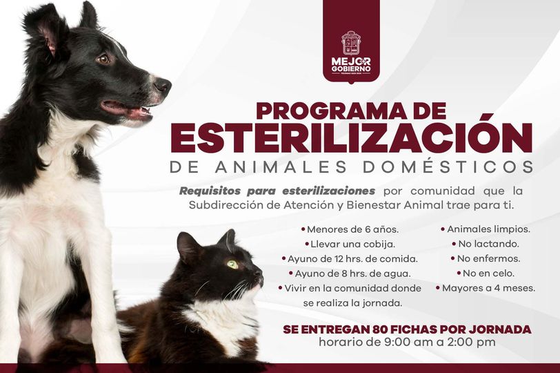 1668035166 Nuestro programa permanente de Esterilizacion de Animales Domesticos por comunid