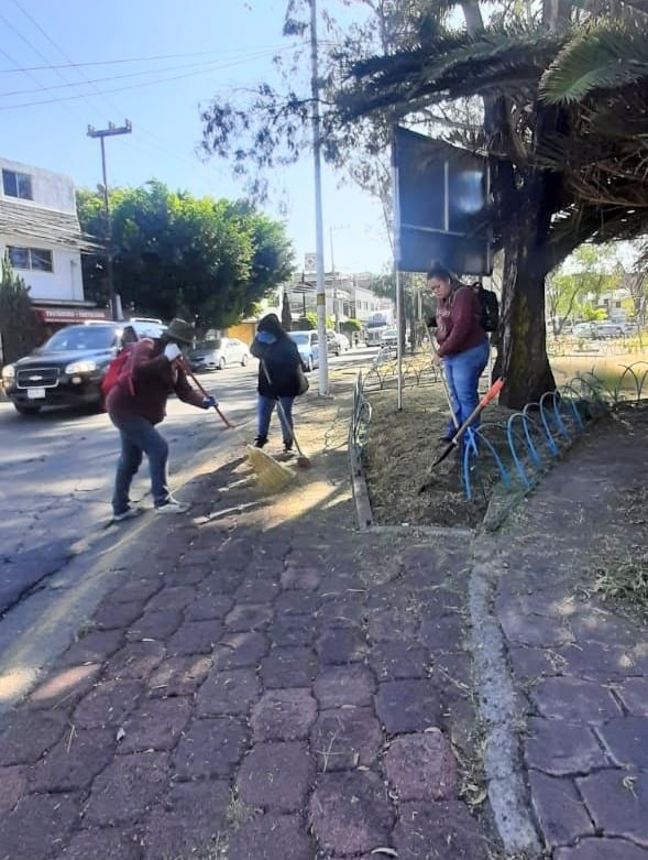 1668101361 22 ImagenUrbana Servicios Publicos llevo a cabo trabajos de limpieza