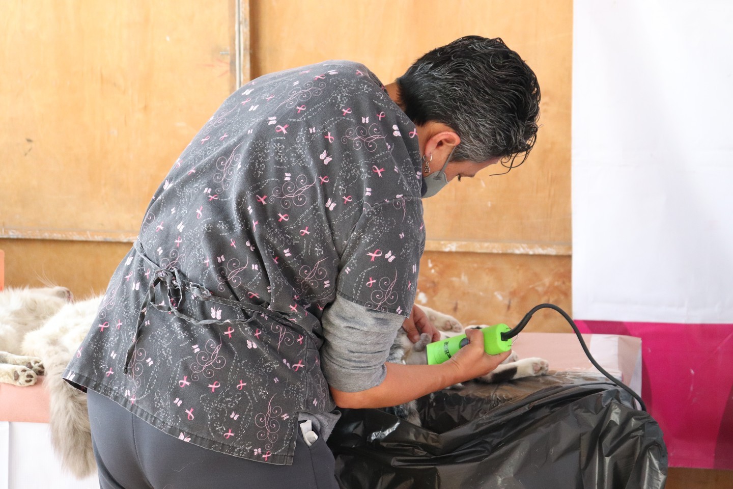 1668101428 565 El dia de hoy llevamos a cabo Esterilizacion Canina y