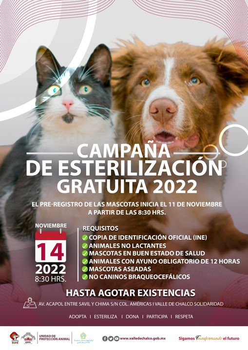 1668104111 Unidad de Proteccion Animal Valle de Chalco El 14